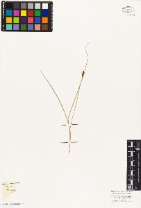 SW_BNB_s3010-05858_IMG-0000000001