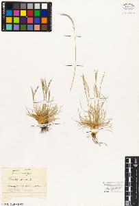 SW_BNB_s3010-05859_IMG-0000000001