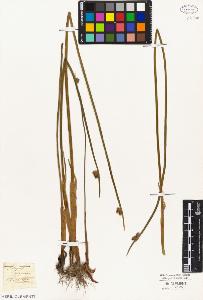 SW_BNB_s3010-05862_IMG-0000000001