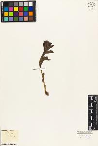 SW_BNB_s3010-05864_IMG-0000000001