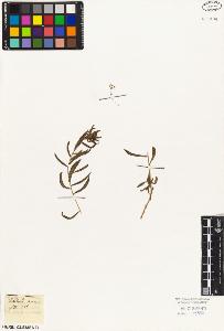 SW_BNB_s3010-05865_IMG-0000000001