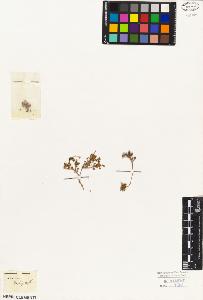 SW_BNB_s3010-05869_IMG-0000000001