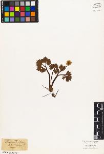 SW_BNB_s3010-05877_IMG-0000000001