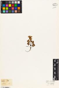SW_BNB_s3010-05879_IMG-0000000001