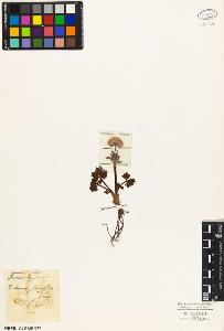 SW_BNB_s3010-05880_IMG-0000000001