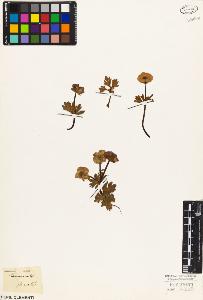 SW_BNB_s3010-05882_IMG-0000000001