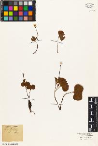 SW_BNB_s3010-05883_IMG-0000000001