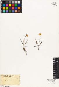 SW_BNB_s3010-05887_IMG-0000000001