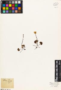 SW_BNB_s3010-05888_IMG-0000000001
