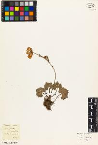 SW_BNB_s3010-05889_IMG-0000000001