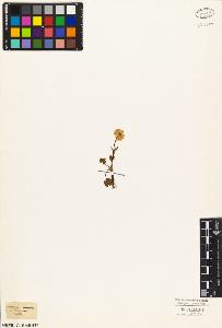 SW_BNB_s3010-05895_IMG-0000000001