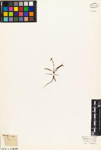 SW_BNB_s3010-05896_IMG-0000000001