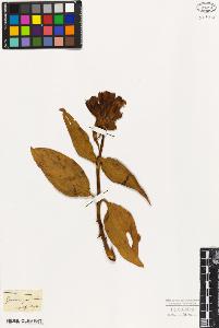 SW_BNB_s3010-05902_IMG-0000000001