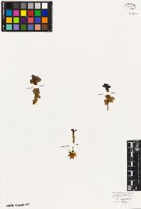 SW_BNB_s3010-05904_IMG-0000000001