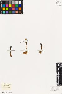 SW_BNB_s3010-05908_IMG-0000000001