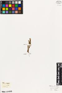 SW_BNB_s3010-05911_IMG-0000000001
