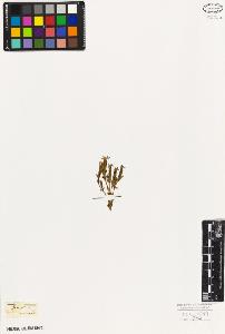 SW_BNB_s3010-05912_IMG-0000000001
