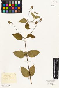 SW_BNB_s3010-05914_IMG-0000000001