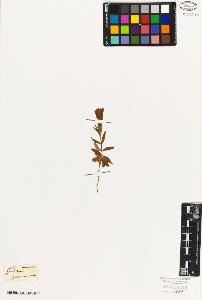 SW_BNB_s3010-05917_IMG-0000000001