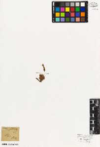 SW_BNB_s3010-05918_IMG-0000000001