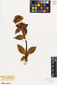 SW_BNB_s3010-05920_IMG-0000000001