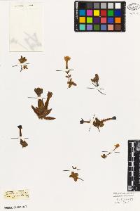 SW_BNB_s3010-05921_IMG-0000000001