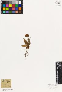 SW_BNB_s3010-05922_IMG-0000000001