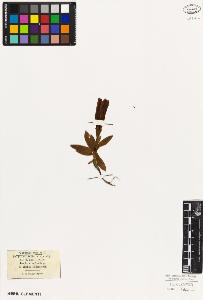 SW_BNB_s3010-05923_IMG-0000000001