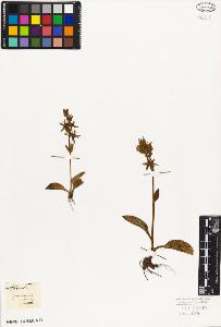 SW_BNB_s3010-05926_IMG-0000000001