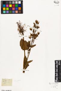 SW_BNB_s3010-05928_IMG-0000000001