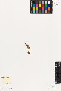 SW_BNB_s3010-05929_IMG-0000000001