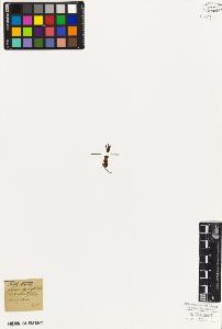 SW_BNB_s3010-05931_IMG-0000000001