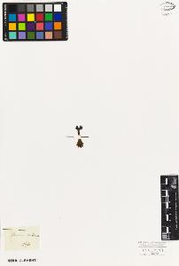 SW_BNB_s3010-05932_IMG-0000000001