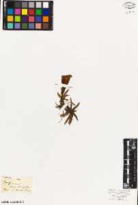 SW_BNB_s3010-05933_IMG-0000000001
