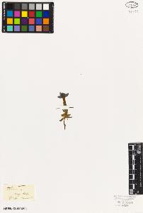 SW_BNB_s3010-05934_IMG-0000000001