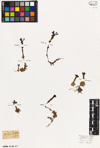 SW_BNB_s3010-05936_IMG-0000000001