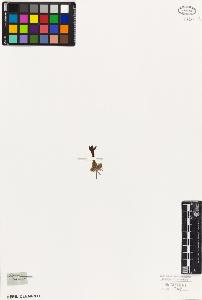 SW_BNB_s3010-05938_IMG-0000000001