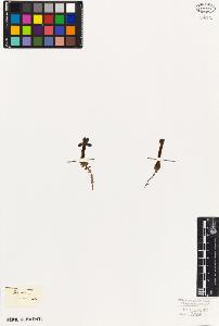 SW_BNB_s3010-05939_IMG-0000000001