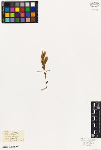 SW_BNB_s3010-05940_IMG-0000000001