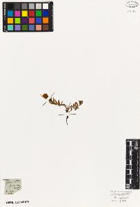 SW_BNB_s3010-05942_IMG-0000000001