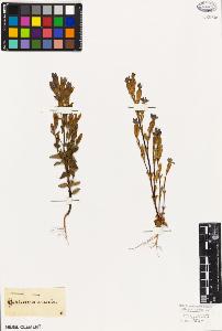 SW_BNB_s3010-05943_IMG-0000000001