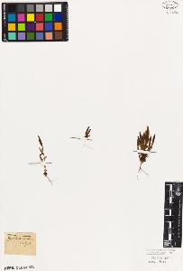 SW_BNB_s3010-05944_IMG-0000000001