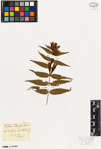 SW_BNB_s3010-05947_IMG-0000000001