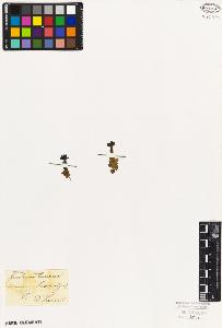 SW_BNB_s3010-05948_IMG-0000000001