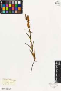 SW_BNB_s3010-05949_IMG-0000000001