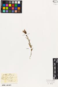 SW_BNB_s3010-05950_IMG-0000000001
