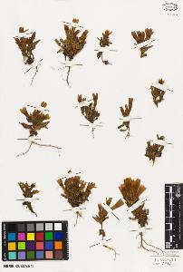 SW_BNB_s3010-05951_IMG-0000000001
