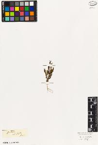 SW_BNB_s3010-05953_IMG-0000000001