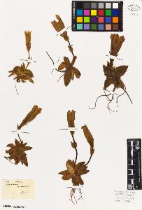 SW_BNB_s3010-05955_IMG-0000000001