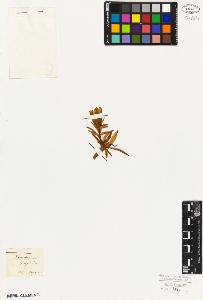 SW_BNB_s3010-05956_IMG-0000000001